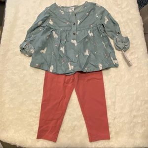 Carter’s NWT 2 Piece Set